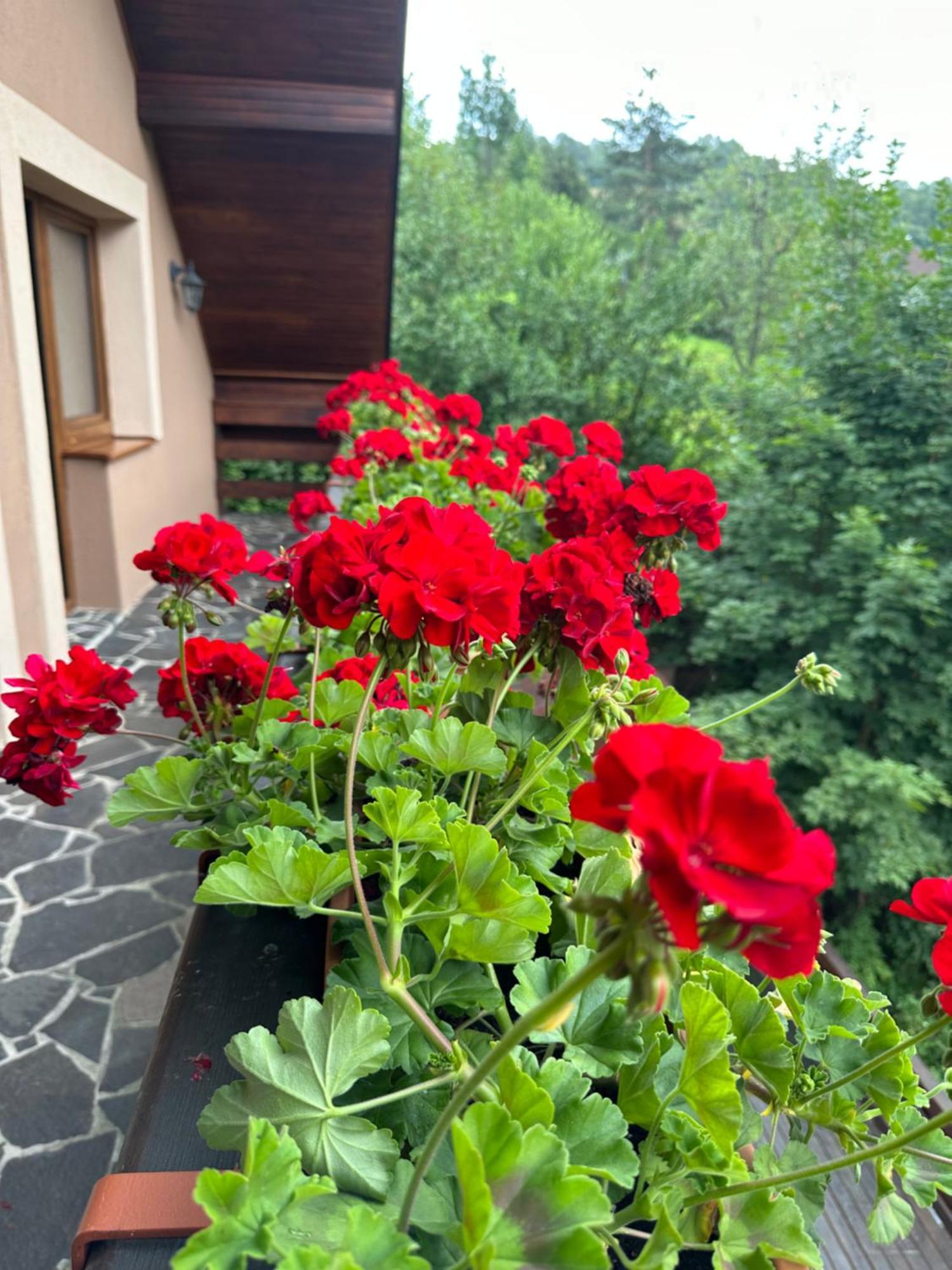 Holiday Home Skalka Mýto pod Ďumbierom Eksteriør bilde